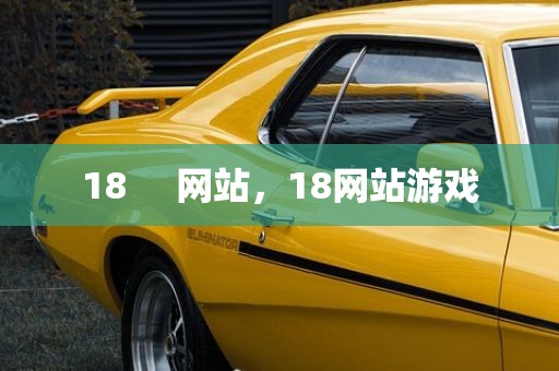 18     网站，18网站游戏
