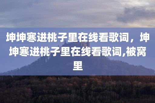 坤坤寒进桃子里在线看歌词，坤坤寒进桃子里在线看歌词,被窝里