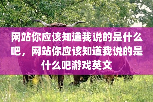 网站你应该知道我说的是什么吧，网站你应该知道我说的是什么吧游戏英文