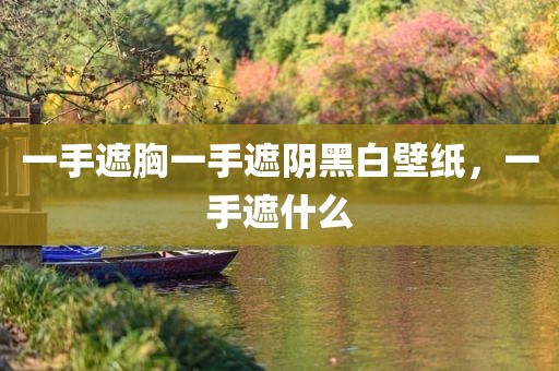 一手遮胸一手遮阴黑白壁纸，一手遮什么
