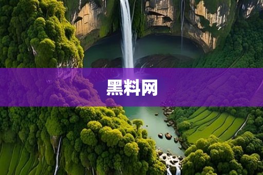 黑料网