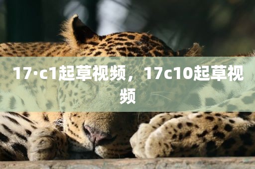 17·c1起草视频，17c10起草视频