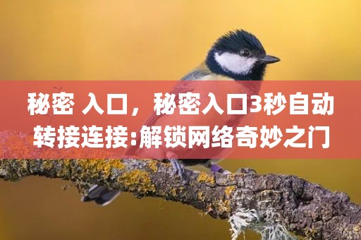 秘密 入口，秘密入口3秒自动转接连接:解锁网络奇妙之门