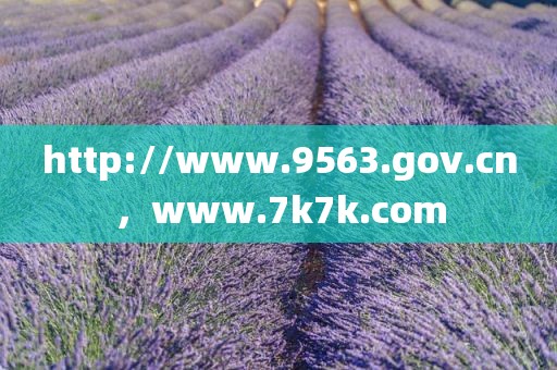 http://www.9563.gov.cn，www.7k7k.com