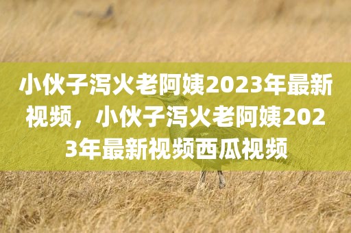 小伙子泻火老阿姨2023年最新视频，小伙子泻火老阿姨2023年最新视频西瓜视频
