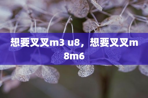 想要叉叉m3 u8，想要叉叉m8m6