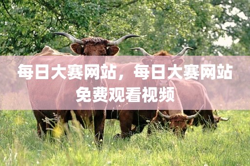 每日大赛网站，每日大赛网站免费观看视频