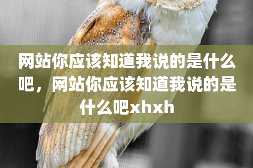 网站你应该知道我说的是什么吧，网站你应该知道我说的是什么吧xhxh