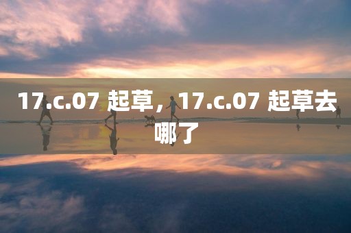 17.c.07 起草，17.c.07 起草去哪了