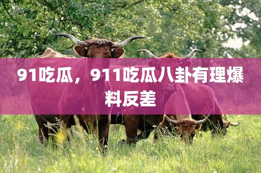 91吃瓜，911吃瓜八卦有理爆料反差