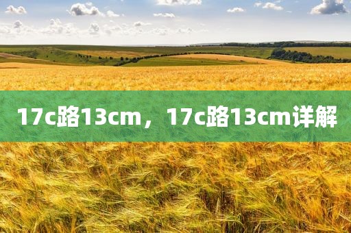 17c路13cm，17c路13cm详解