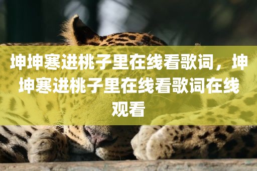 坤坤寒进桃子里在线看歌词，坤坤寒进桃子里在线看歌词在线观看