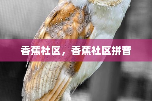 香蕉社区，香蕉社区拼音