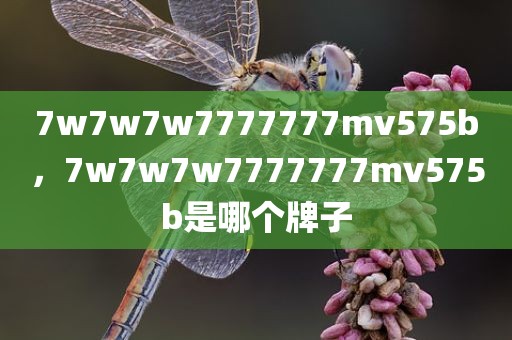 7w7w7w7777777mv575b，7w7w7w7777777mv575b是哪个牌子