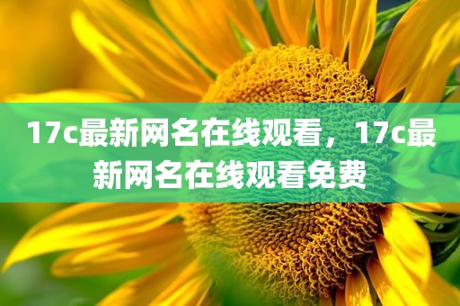 17c最新网名在线观看，17c最新网名在线观看免费