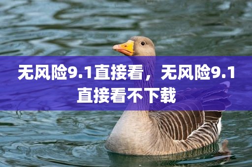 无风险9.1直接看，无风险9.1直接看不下载