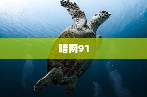 暗网91