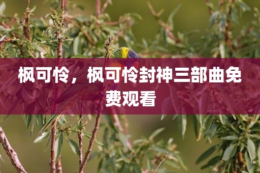 枫可怜，枫可怜封神三部曲免费观看