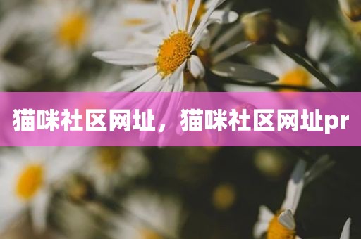猫咪社区网址，猫咪社区网址pr