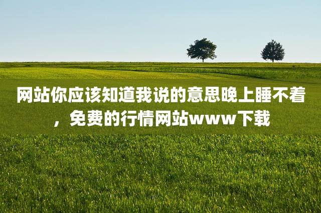 网站你应该知道我说的意思晚上睡不着，免费的行情网站www下载