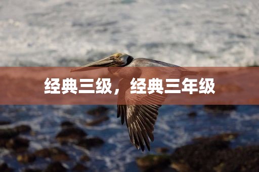 经典三级，经典三年级