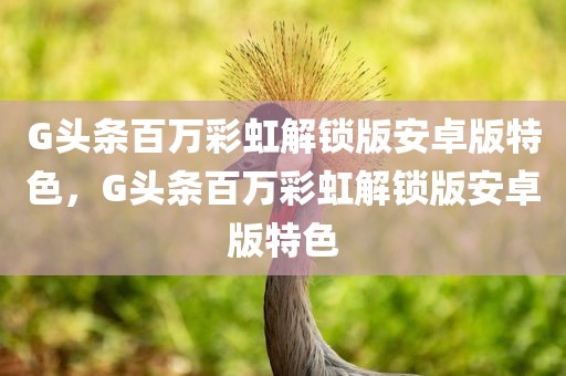 G头条百万彩虹解锁版安卓版特色，G头条百万彩虹解锁版安卓版特色