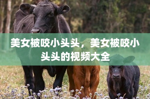 美女被咬小头头，美女被咬小头头的视频大全