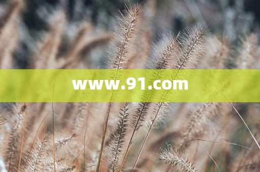 www.91.com