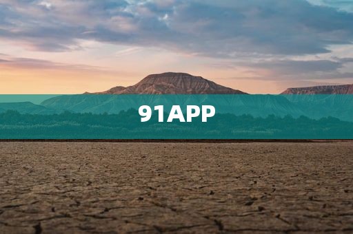 91APP