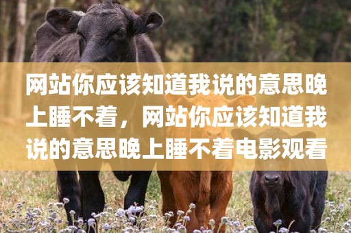 网站你应该知道我说的意思晚上睡不着，网站你应该知道我说的意思晚上睡不着电影观看