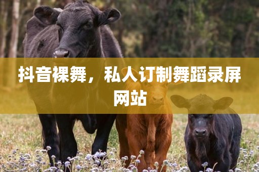 抖音裸舞，私人订制舞蹈录屏网站