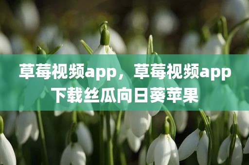 草莓视频app，草莓视频app下载丝瓜向日葵苹果