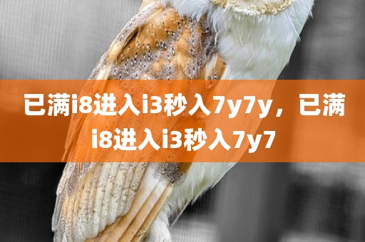 已满i8进入i3秒入7y7y，已满i8进入i3秒入7y7