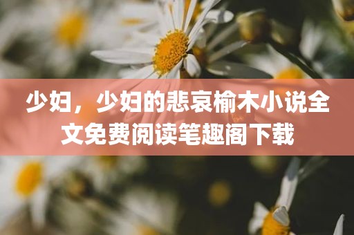 少妇，少妇的悲哀榆木小说全文免费阅读笔趣阁下载