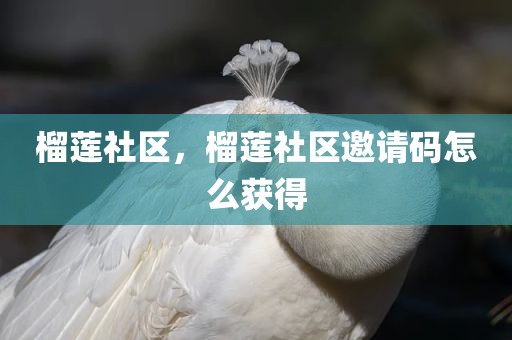 榴莲社区，榴莲社区邀请码怎么获得