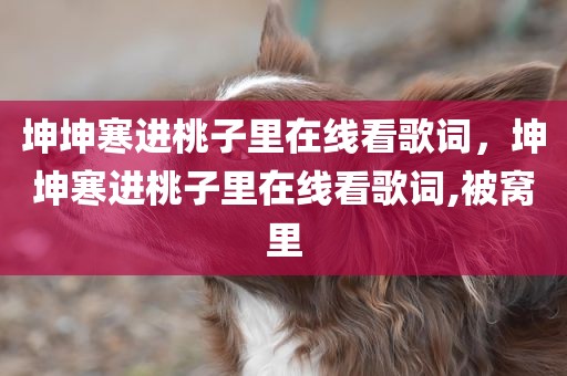 坤坤寒进桃子里在线看歌词，坤坤寒进桃子里在线看歌词,被窝里