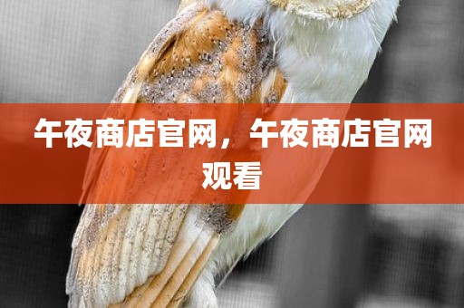 午夜商店官网，午夜商店官网观看
