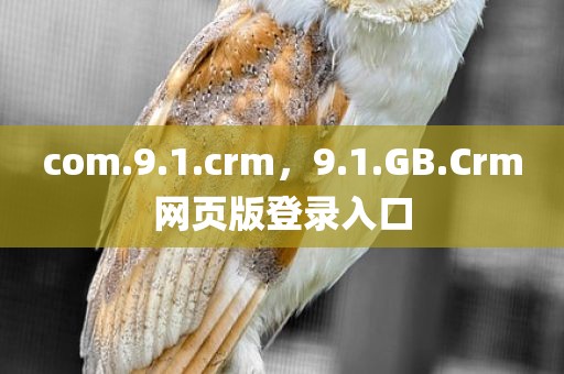 com.9.1.crm，9.1.GB.Crm网页版登录入口