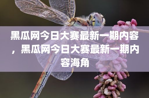 黑瓜网今日大赛最新一期内容，黑瓜网今日大赛最新一期内容海角