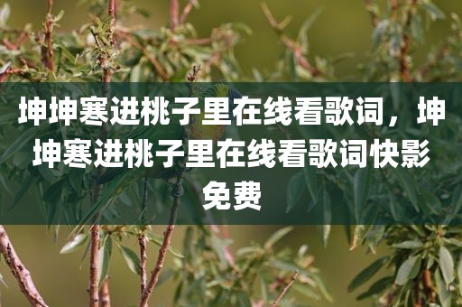 坤坤寒进桃子里在线看歌词，坤坤寒进桃子里在线看歌词快影免费