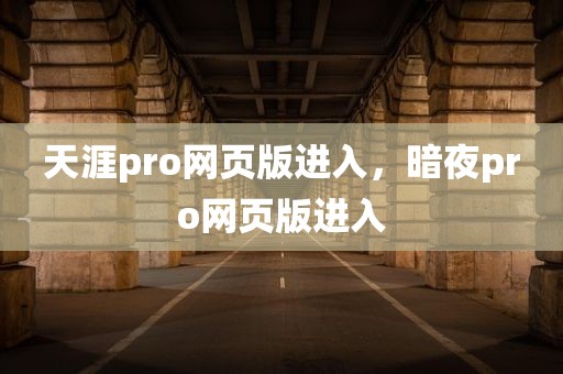 天涯pro网页版进入，暗夜pro网页版进入