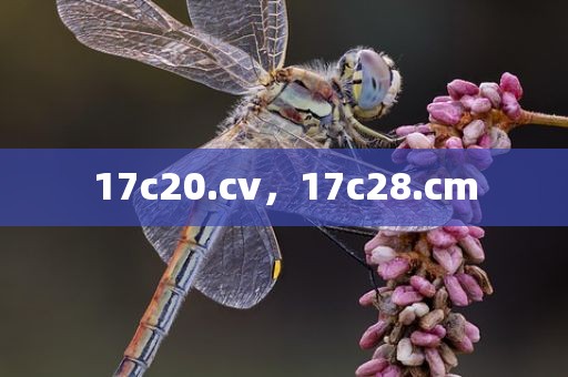 17c20.cv，17c28.cm