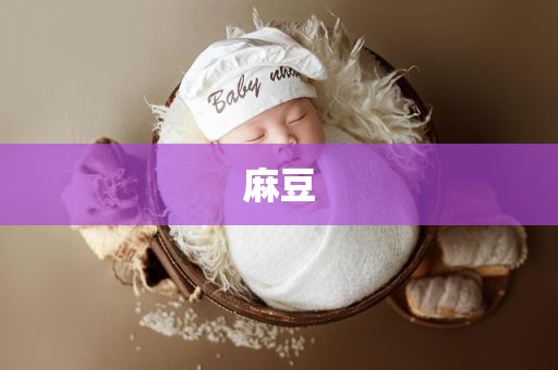 麻豆