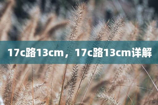 17c路13cm，17c路13cm详解