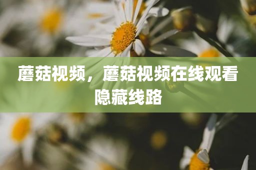 蘑菇视频，蘑菇视频在线观看隐藏线路