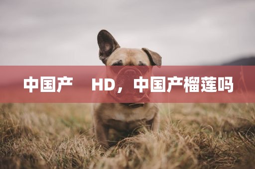 中国产    HD，中国产榴莲吗