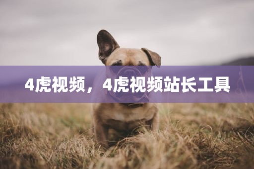 4虎视频，4虎视频站长工具