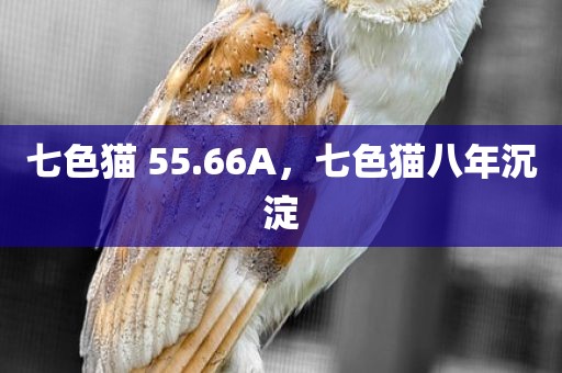 七色猫 55.66A，七色猫八年沉淀