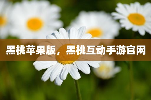 黑桃苹果版，黑桃互动手游官网