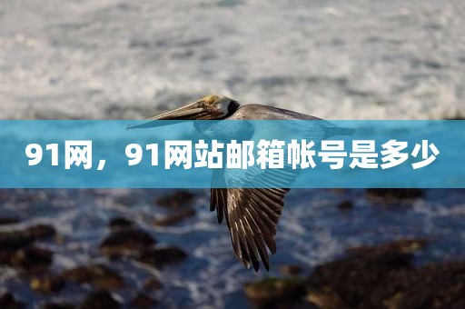 91网，91网站邮箱帐号是多少